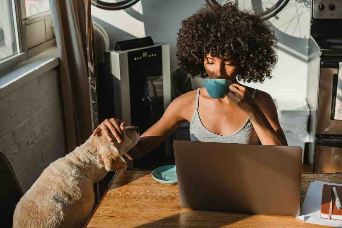 A person sitting at a table with a computer and a dog